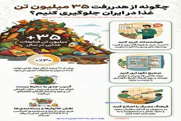info (23)